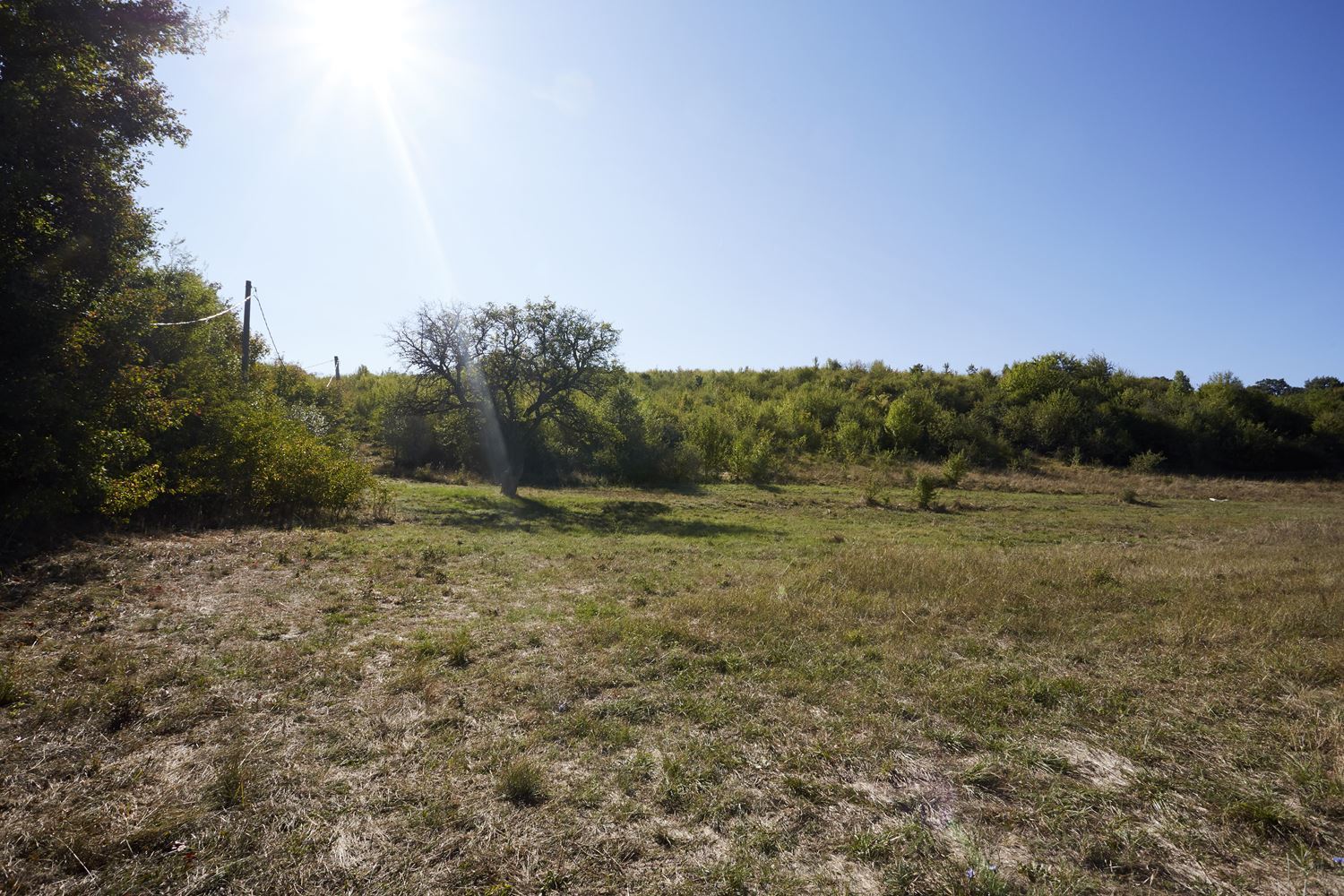 Парцел в Банкя 1845 м2 - 0